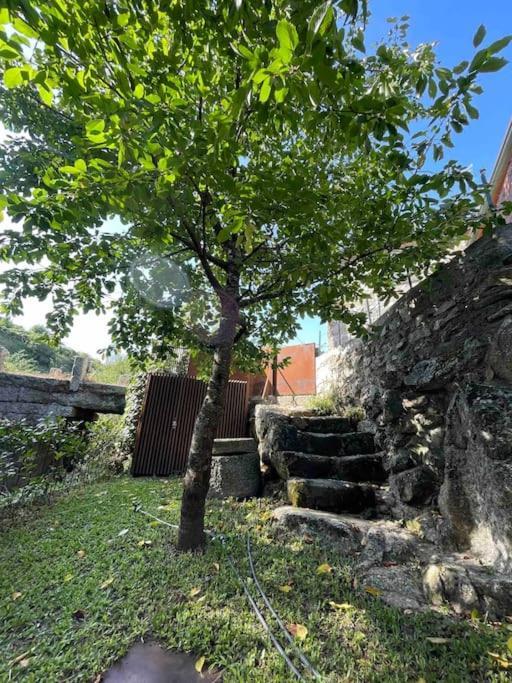 Casa Da Tintim Em Baiao Villa Dış mekan fotoğraf