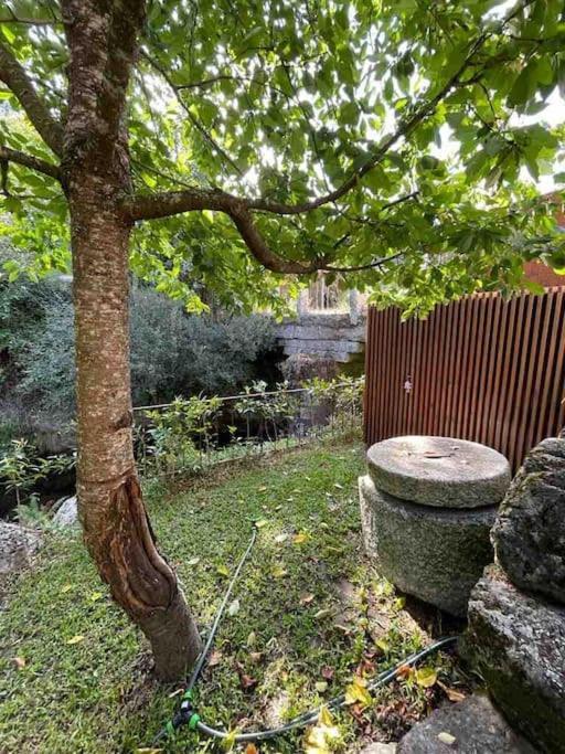 Casa Da Tintim Em Baiao Villa Dış mekan fotoğraf