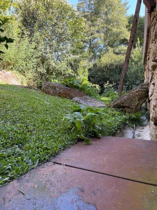 Casa Da Tintim Em Baiao Villa Dış mekan fotoğraf