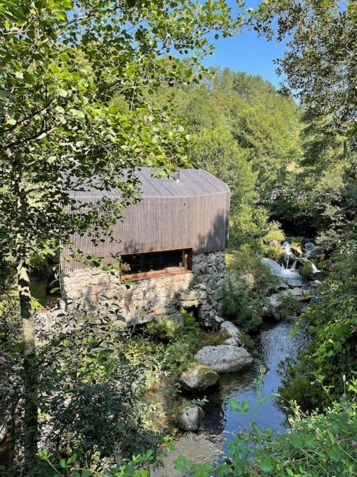 Casa Da Tintim Em Baiao Villa Dış mekan fotoğraf