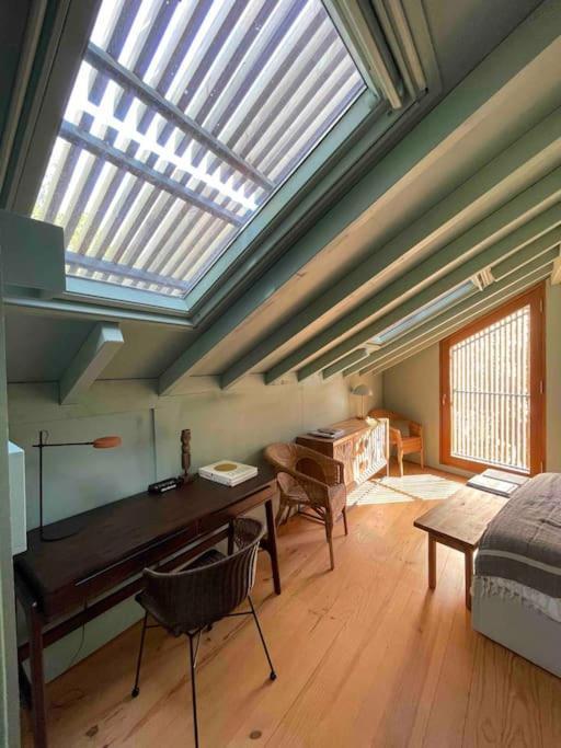 Casa Da Tintim Em Baiao Villa Dış mekan fotoğraf