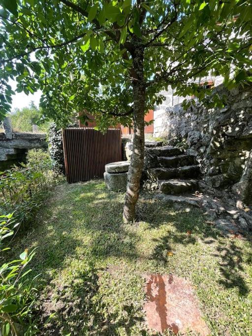 Casa Da Tintim Em Baiao Villa Dış mekan fotoğraf