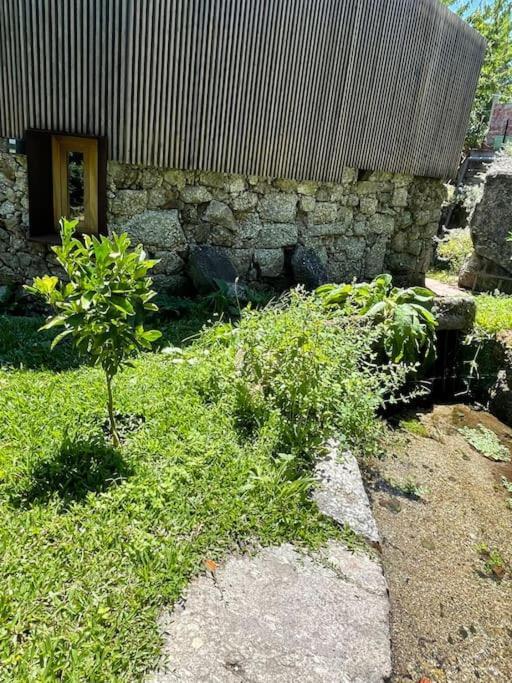 Casa Da Tintim Em Baiao Villa Dış mekan fotoğraf